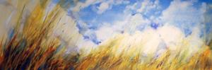 michael-ireland-chicago-artists-blue-sky